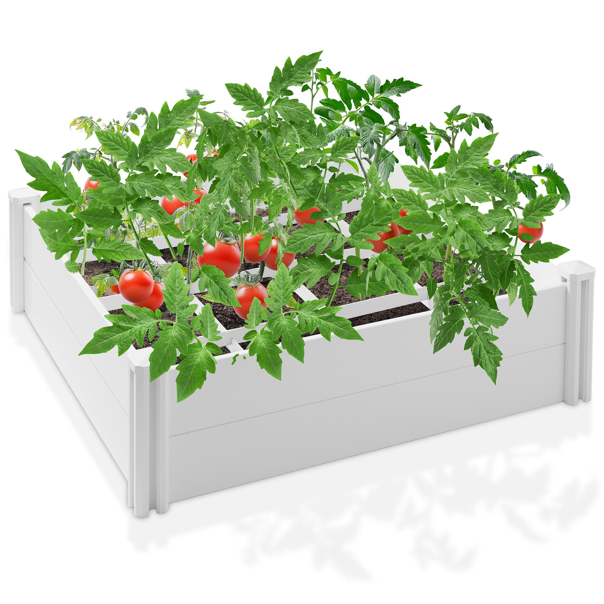 PAT-GDN-P5441-WHT