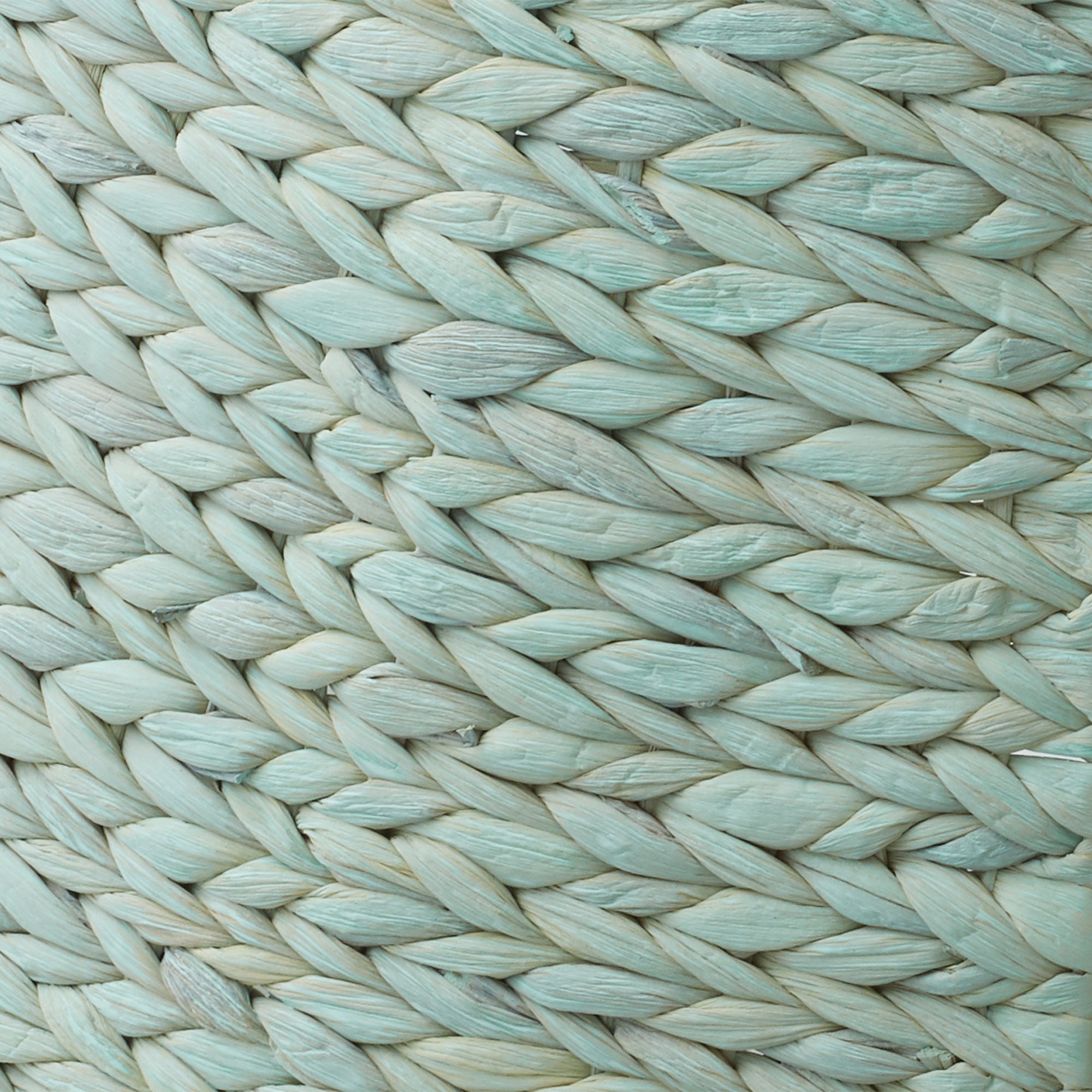 SZN-CLR-3223-SF